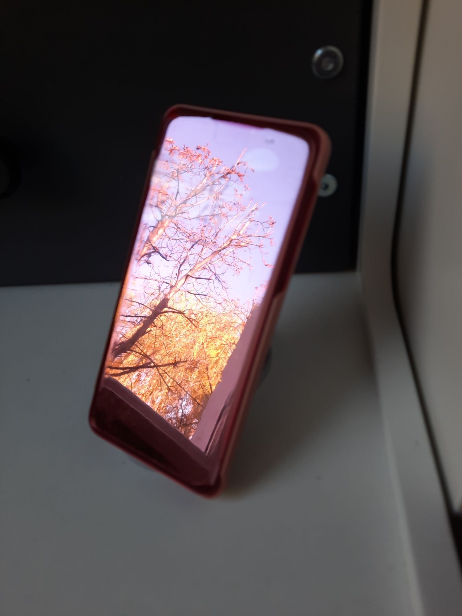 Etui na Xiaomi mix 3 lustrowany