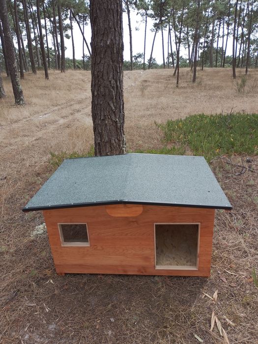 Casota para beagle