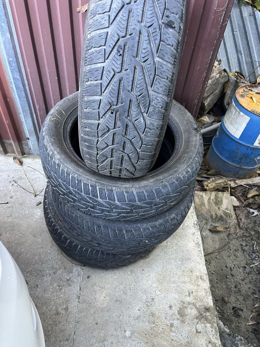 Зимова гума мішелін Оріум