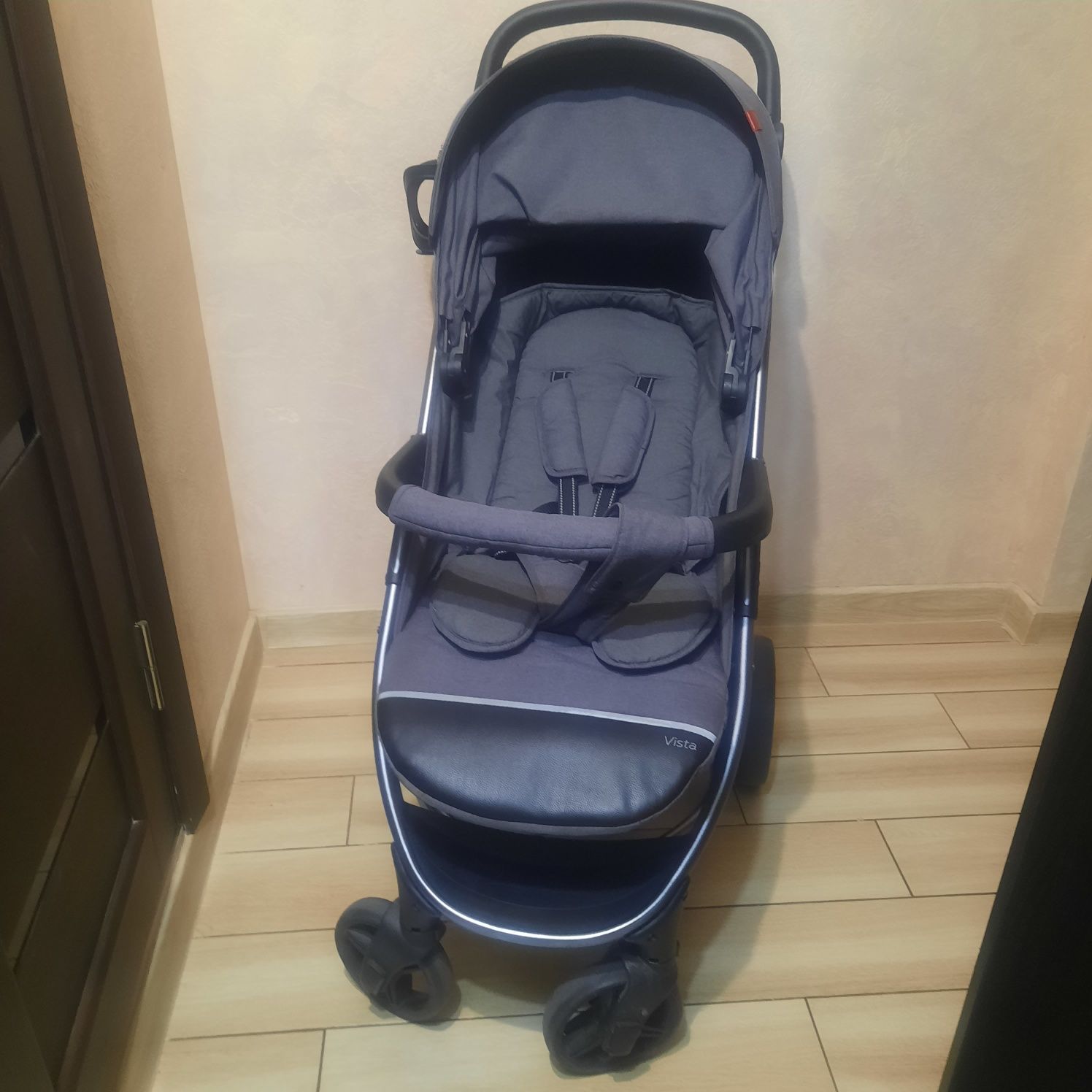 Дитяча прогулянкова коляска Carrello Vista
