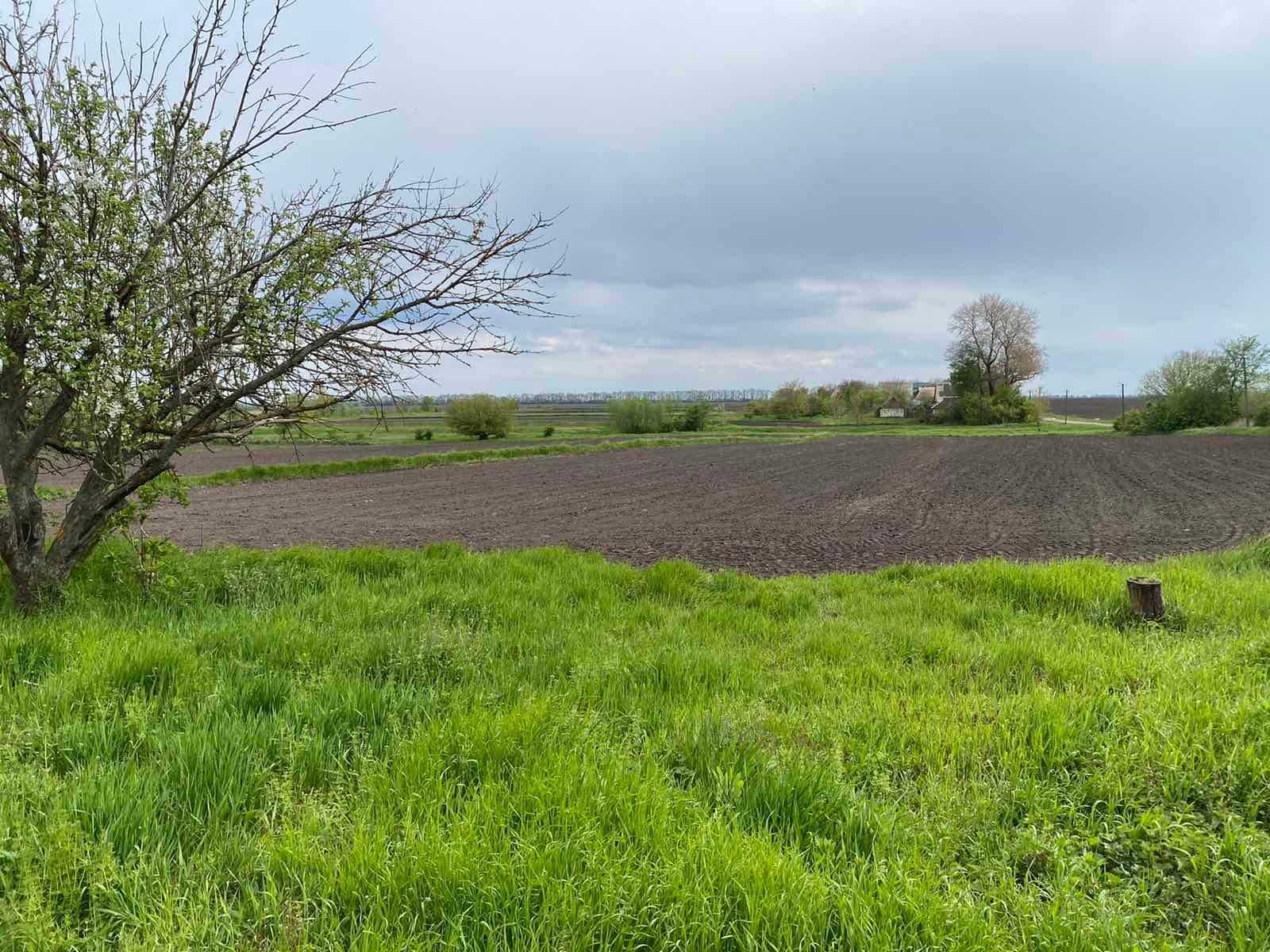 Продам велику земельну ділянку в селі Вінницькі Стави