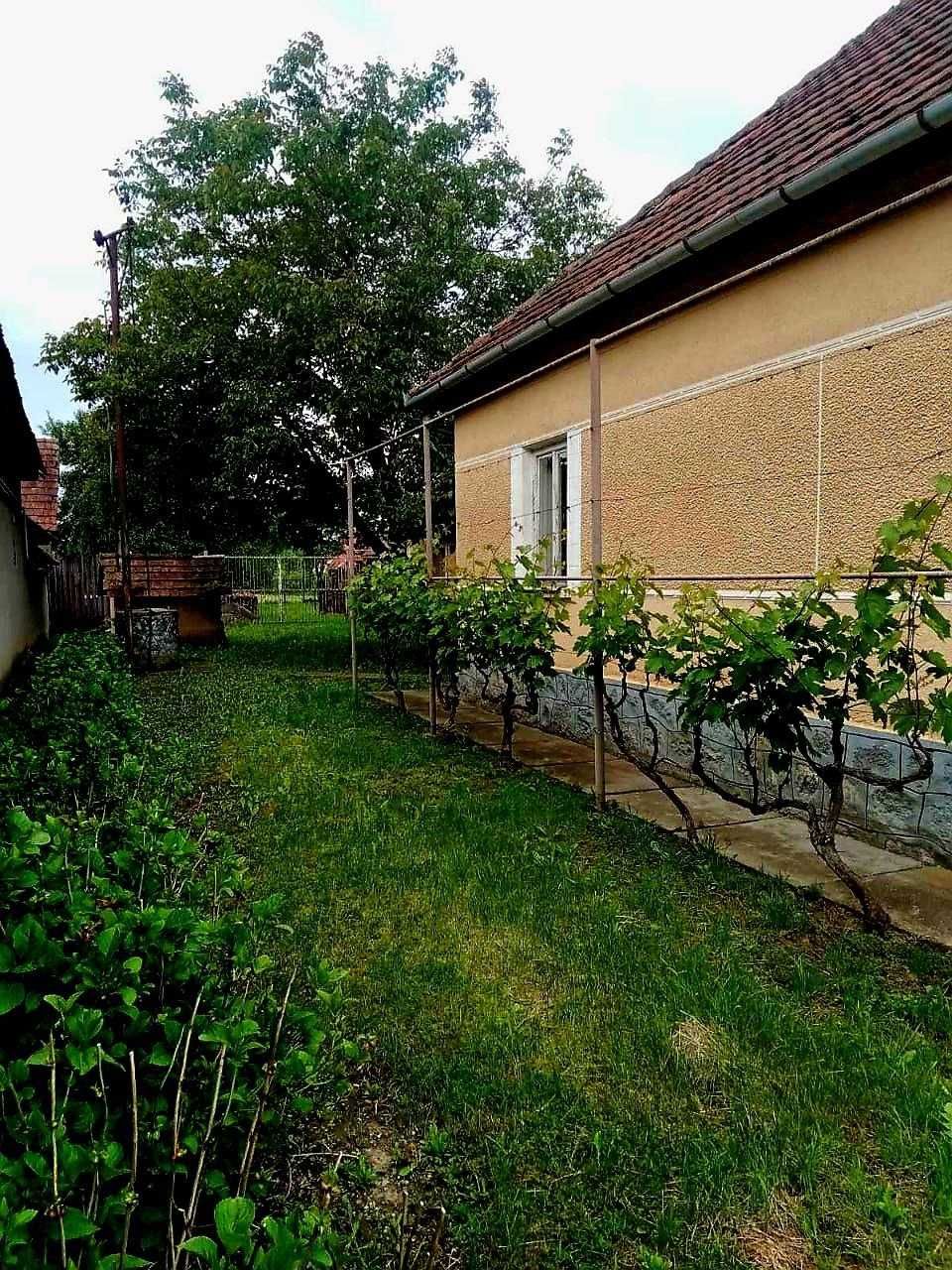 Продаж будинку в Яноші