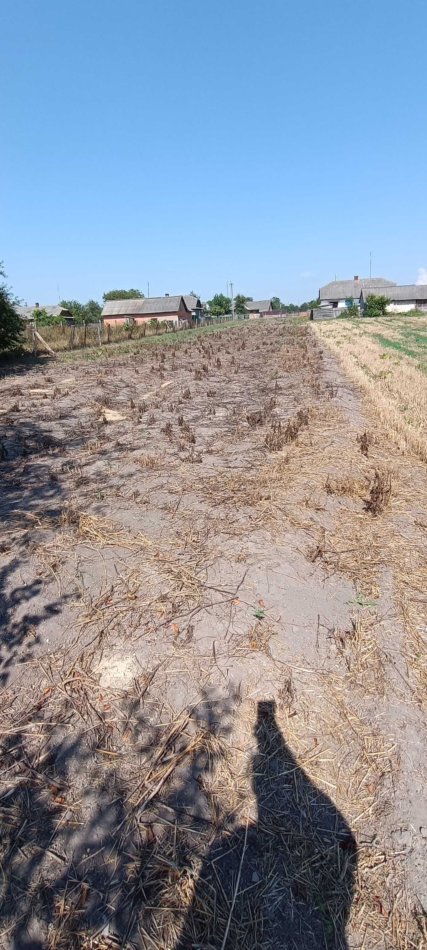 Продам 2 деревяні будинки