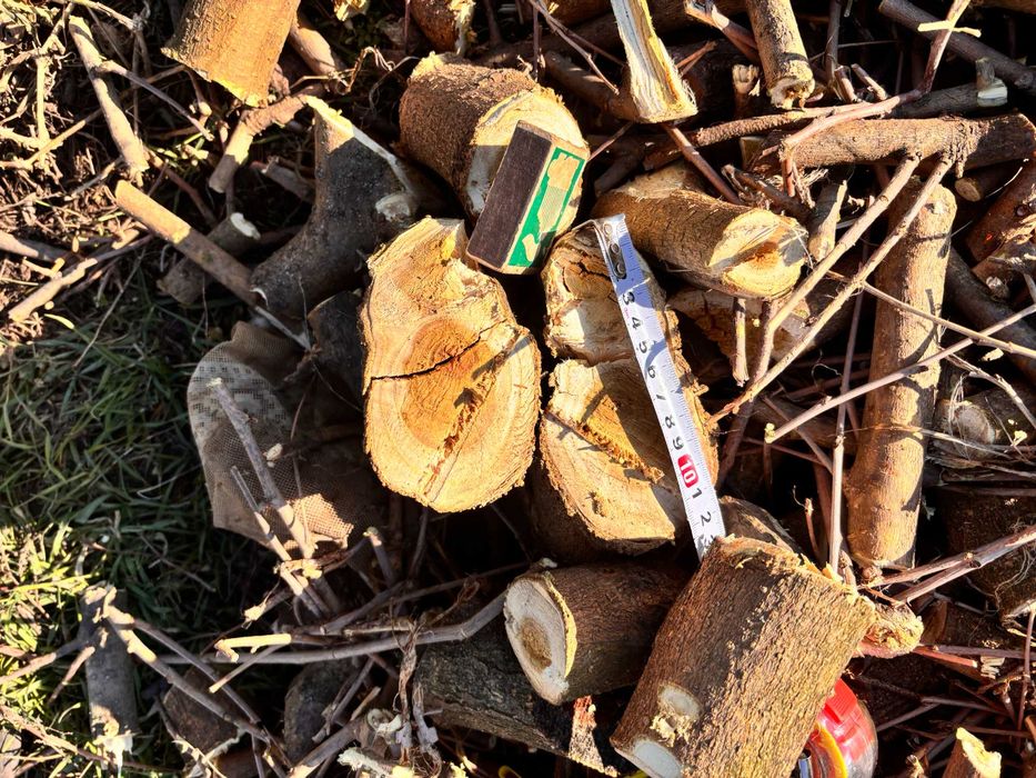 Измельчитель веток-Подрібнювач гілок ARPAL АМ-140ТР