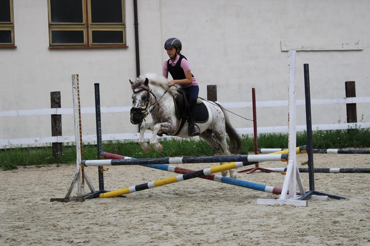 Ambitny kucyk a0