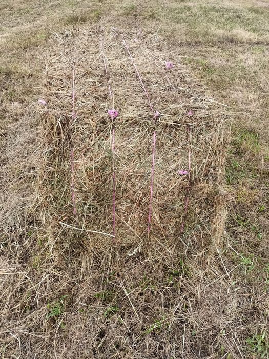 Fardos de feno retangulares