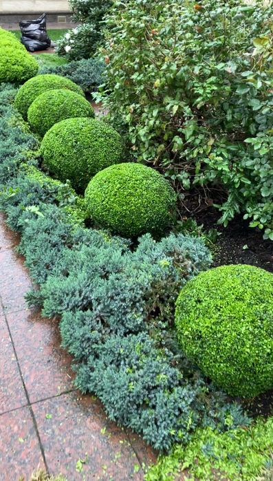 Розчитска ділянки, обрізка дерев, стрижка трави, садівник