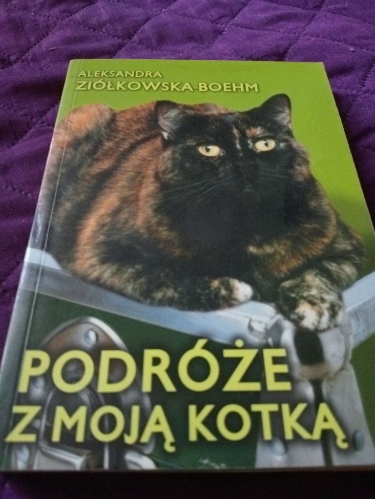 Podróże z moją kotką