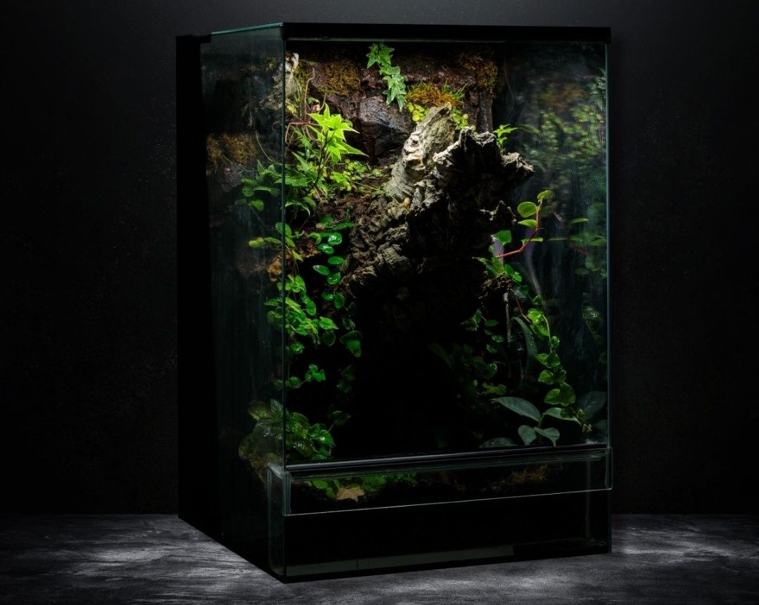Terrarium tropikalne 40x40x60
