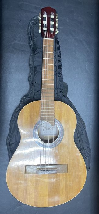 Гітара класична Trembita 1/2 разом із зимовим чохлом