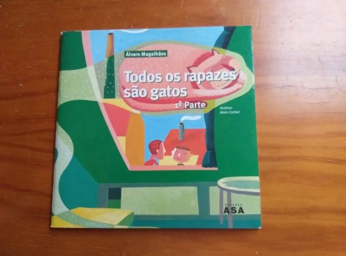 Todos os rapazes são gatos-1ª parte