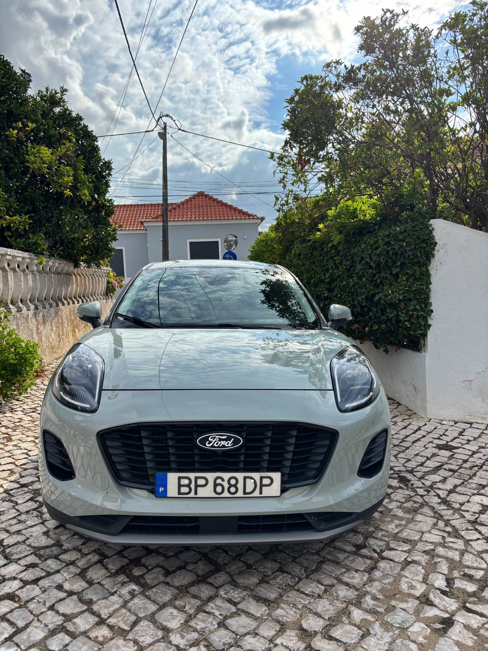 Ford Puma Titanium - Cactus Gray