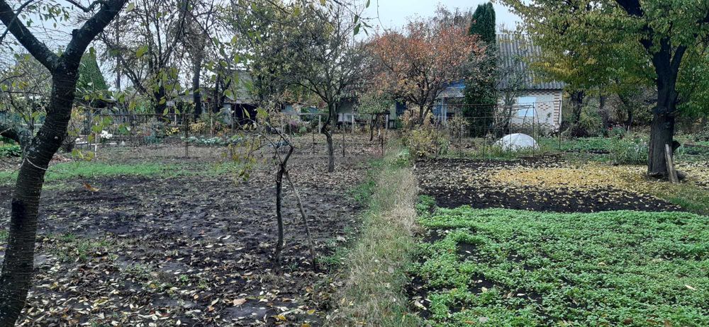 Дача, Хіммістечко