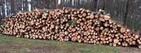 drewno Opałowe   wysezonowane   26m3 wałki 2,5m