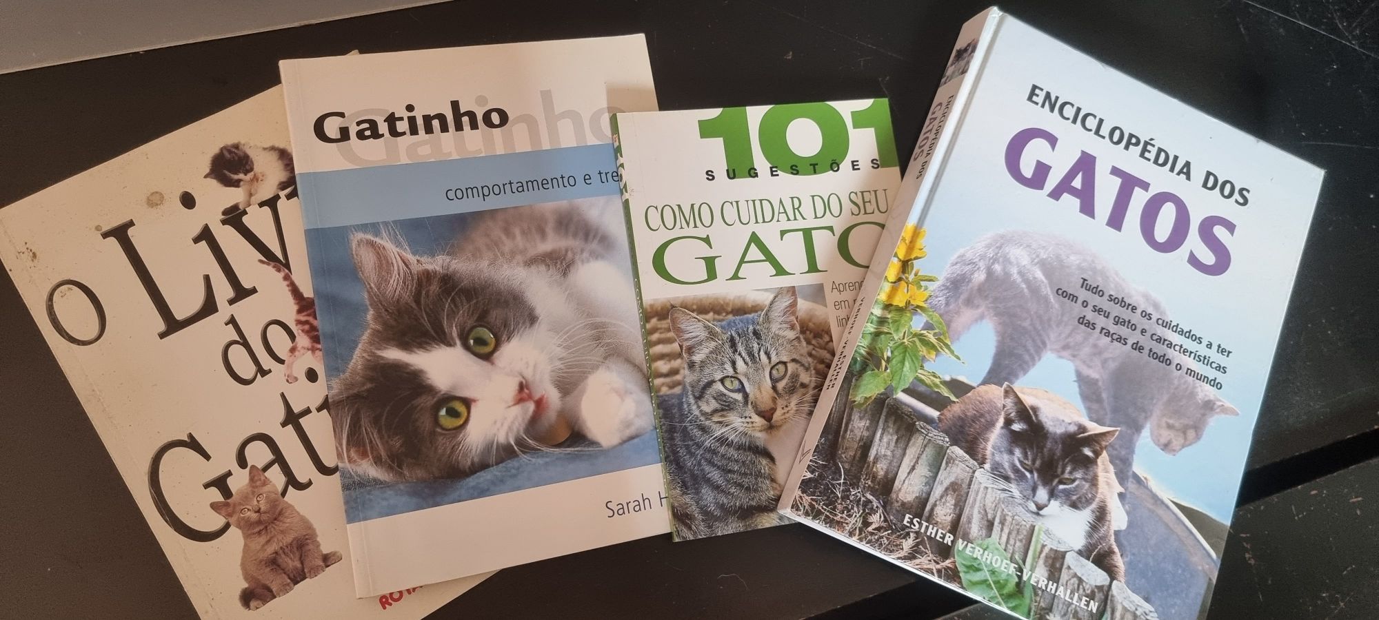Livros de Gatos-4 unidades