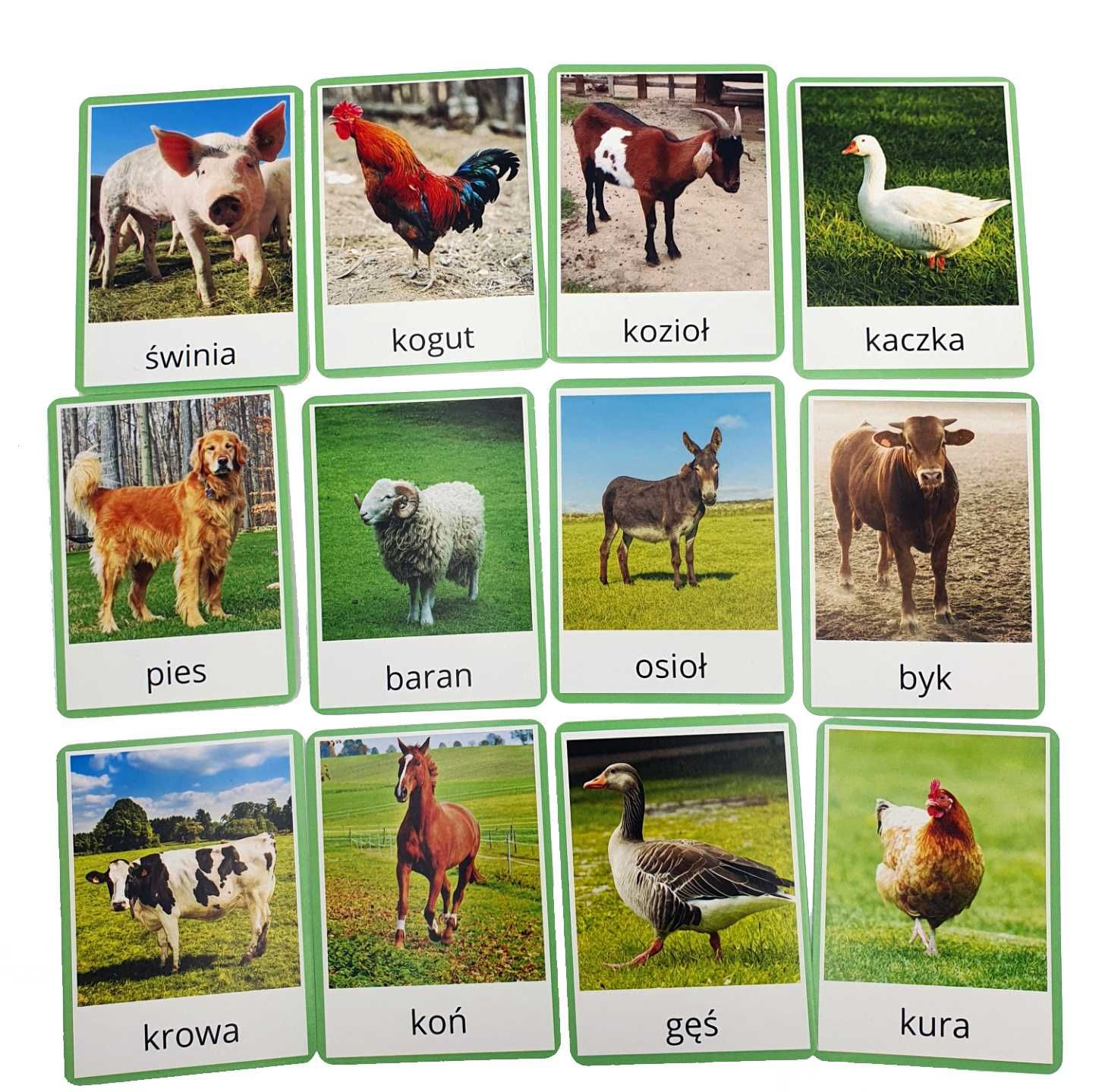 Figurki i karty obrazkowe - zwierzęta gospodarskie Montessori 12SZT