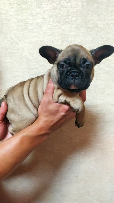 Малыши с документами клуба