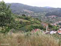 Moradia com Terreno de 2.650 m² - Santa Marinha do Zêzere, Baião