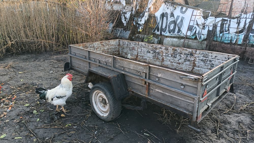 Причіп є дуги, міцний.
