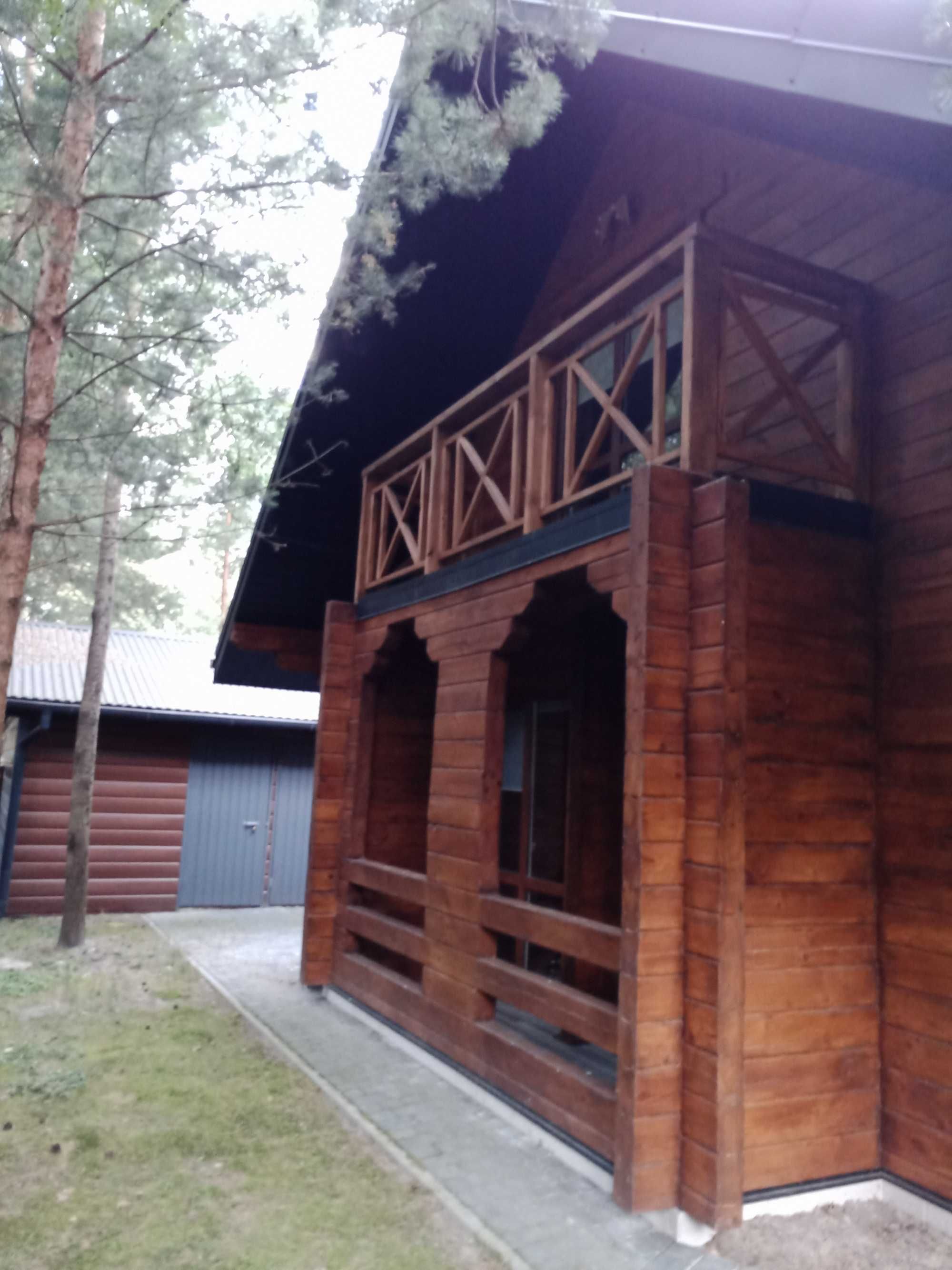 Продам дачу Світязь, Шацьк (Іллічівка)