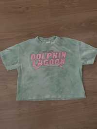 Zara t-shirt Dolphin Lagoon r.140
