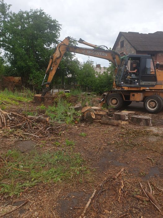 Спил дерев будь якої складності | Розчистка ділянок, вивіз сміття