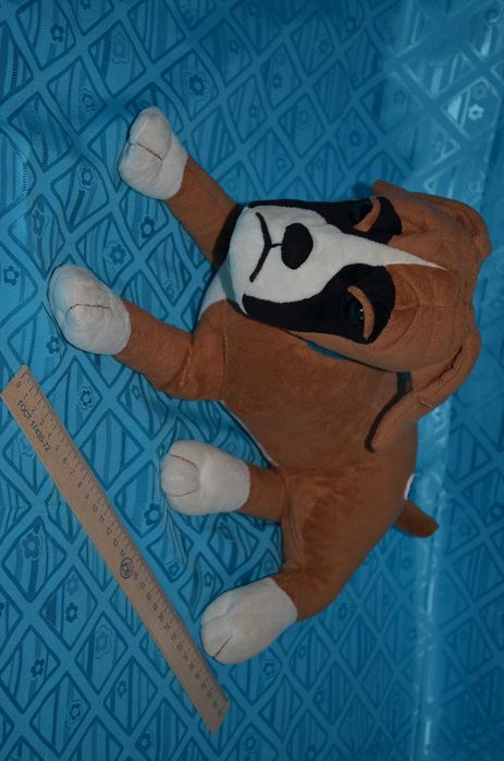 Колекційний сторожовий пес. Гавкає на шум і скуголить, махає хвостиком