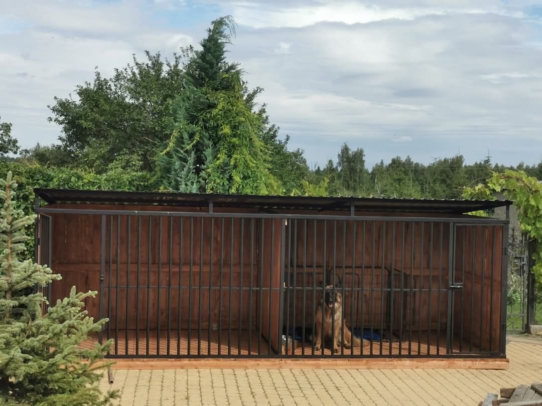 Boks dla piesków