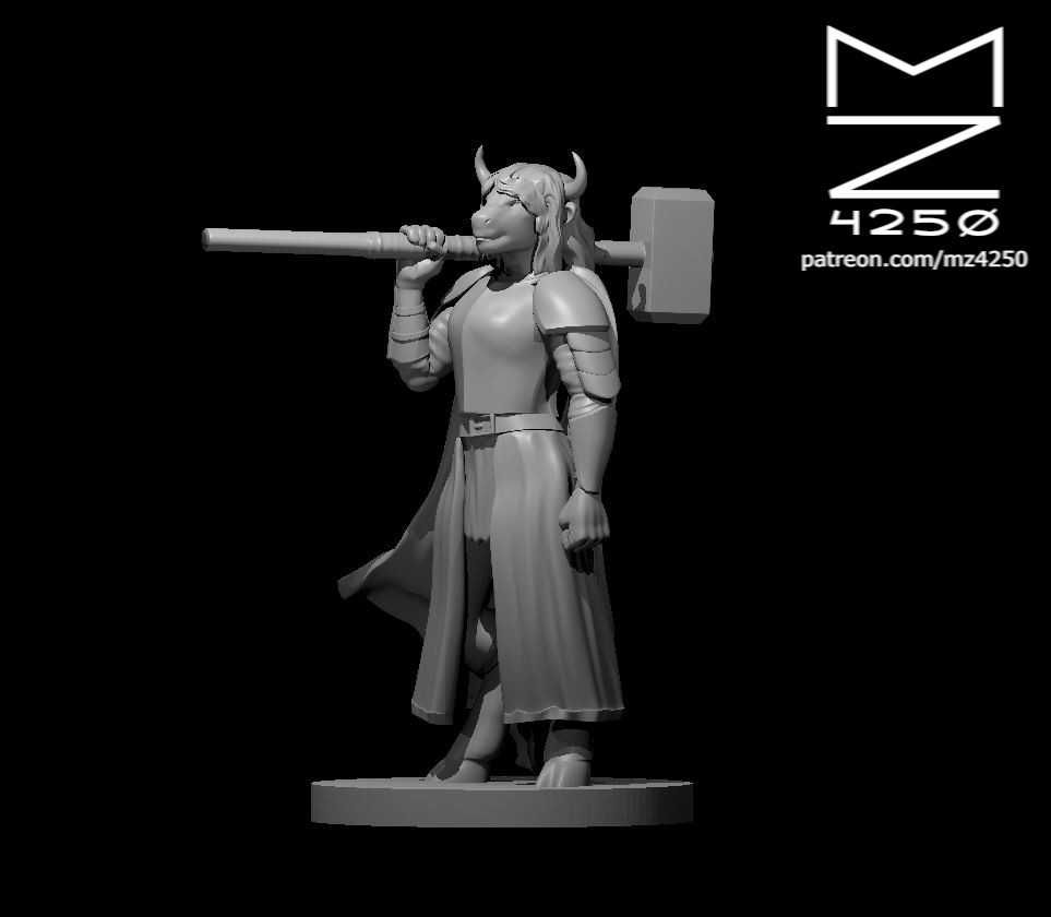 Miniaturas Aventureiros RPG Impressos em 3D - Classe: Cleric/Clérigo