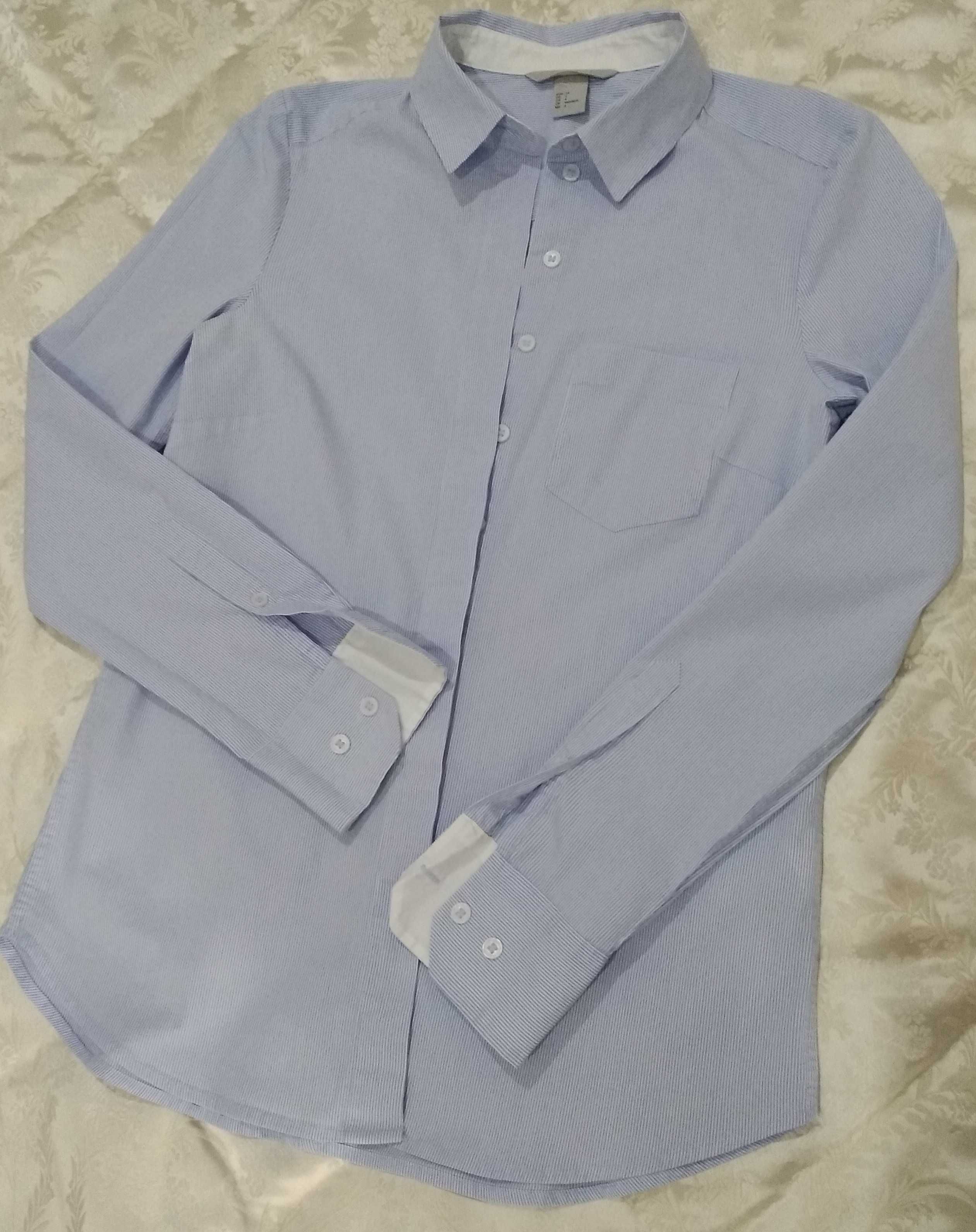 Camisa Azul às Riscas