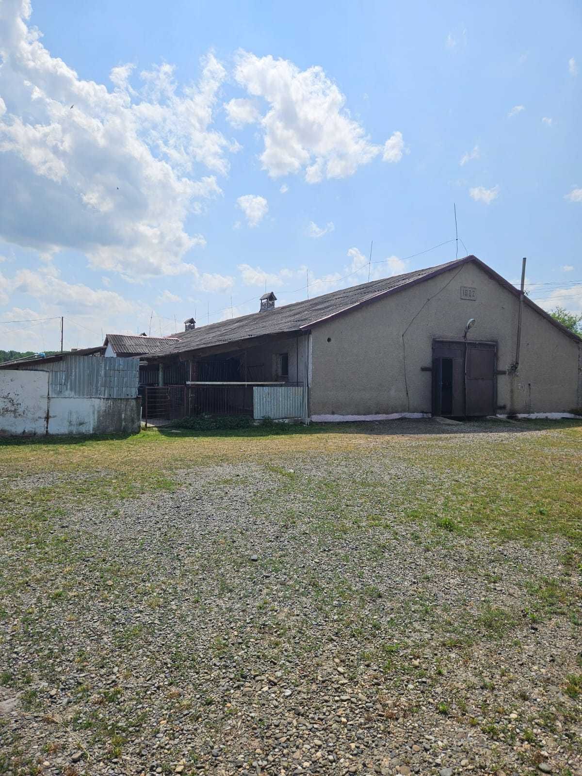 Продам ферма 1,5 га Яноші