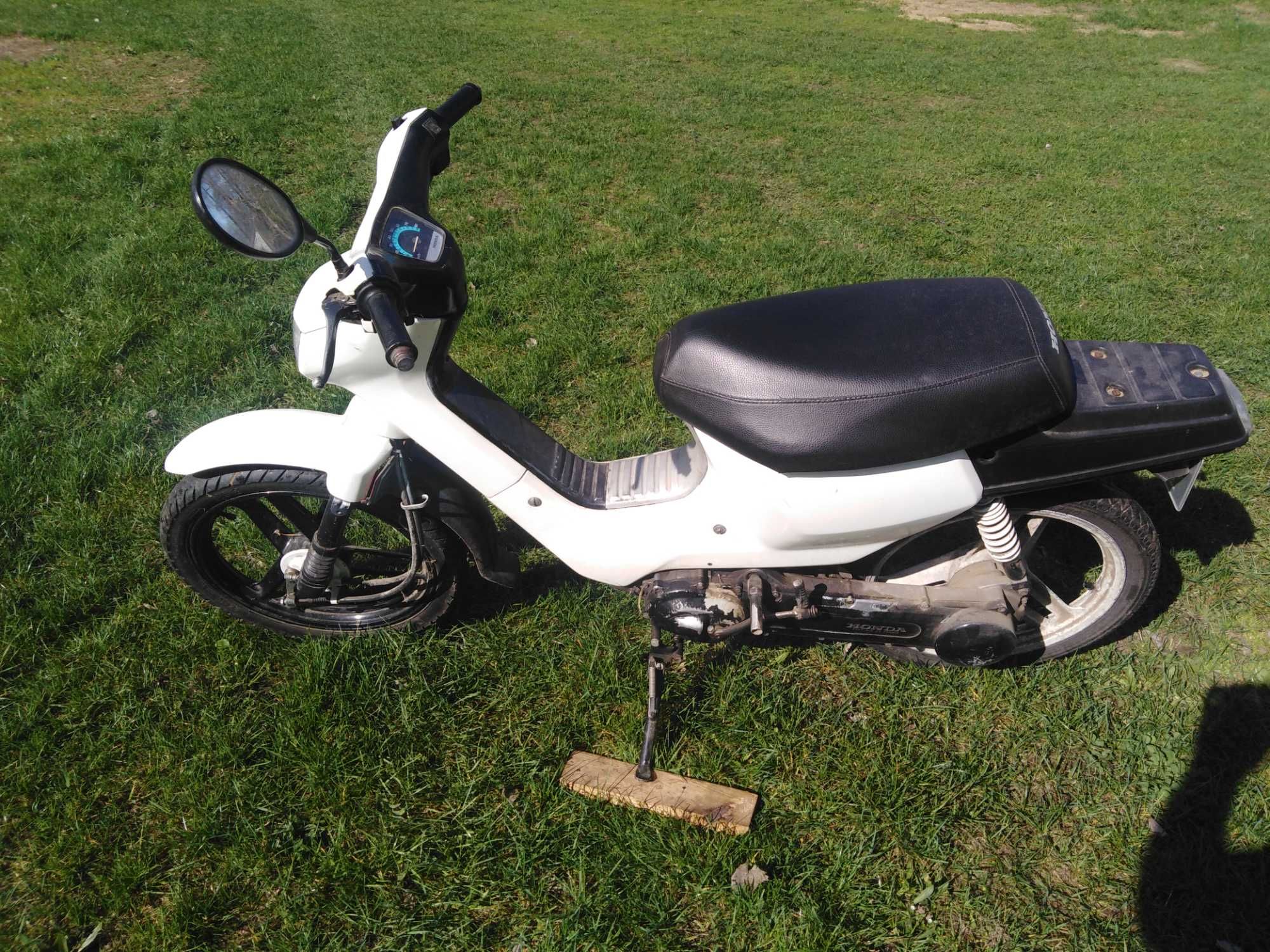 Honda Wallaroo. (komar wsk)