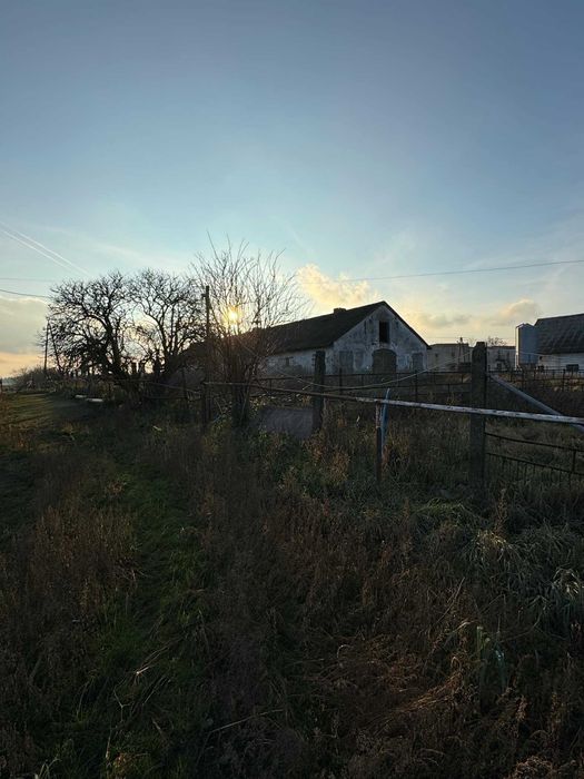 Stajnia na wynajem – Parzęczew, woj. łódzkie, przy A2