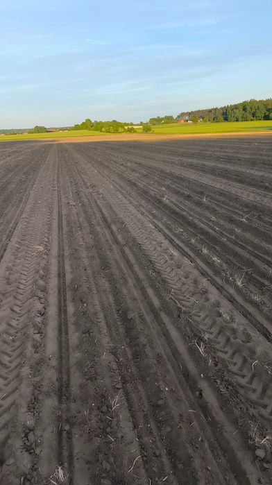 Wydzierżawię grunty rolne