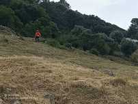 Manutenção terrenos poda/corte árvores