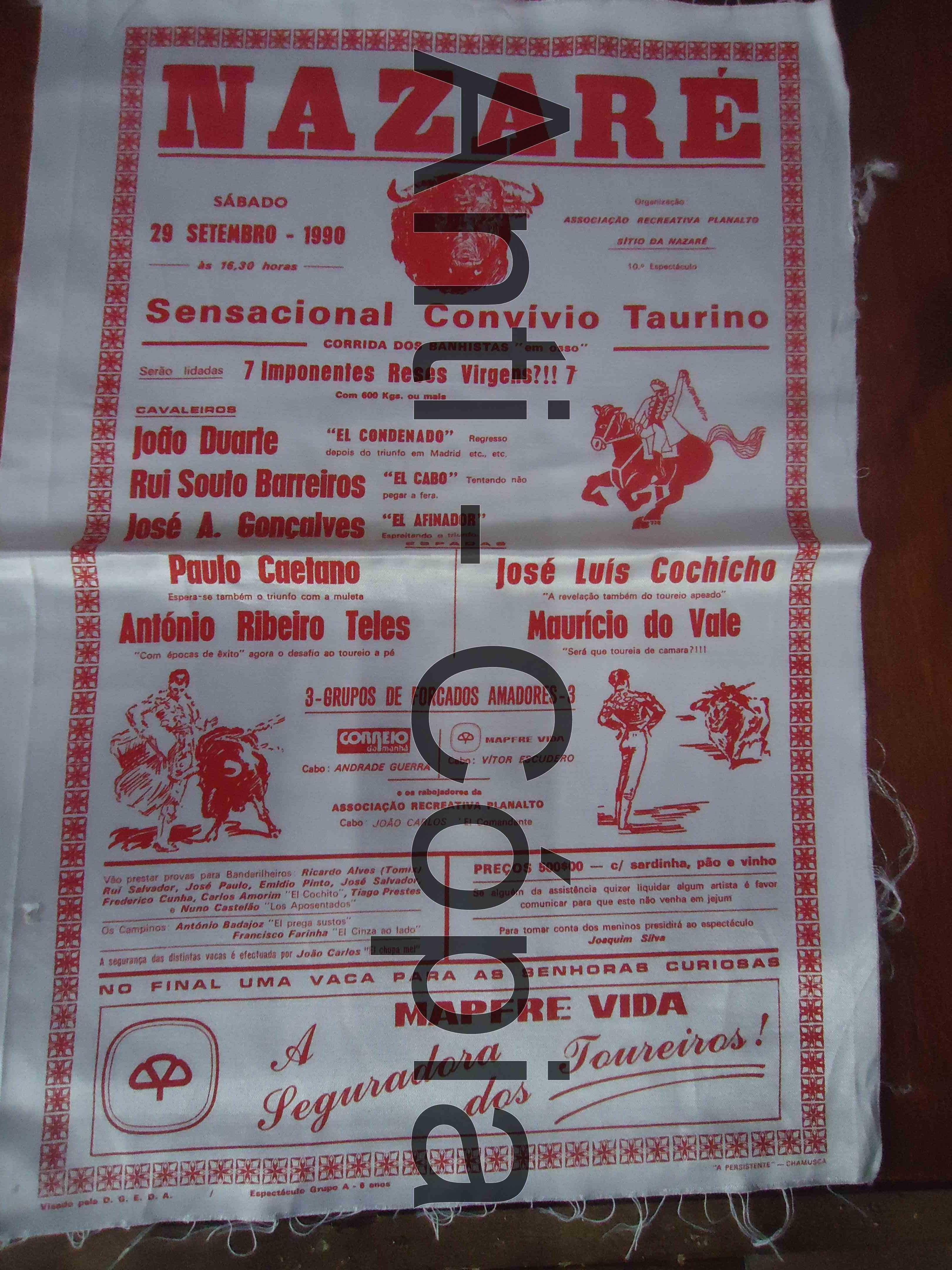 Toiros - Programas em Seda 4
