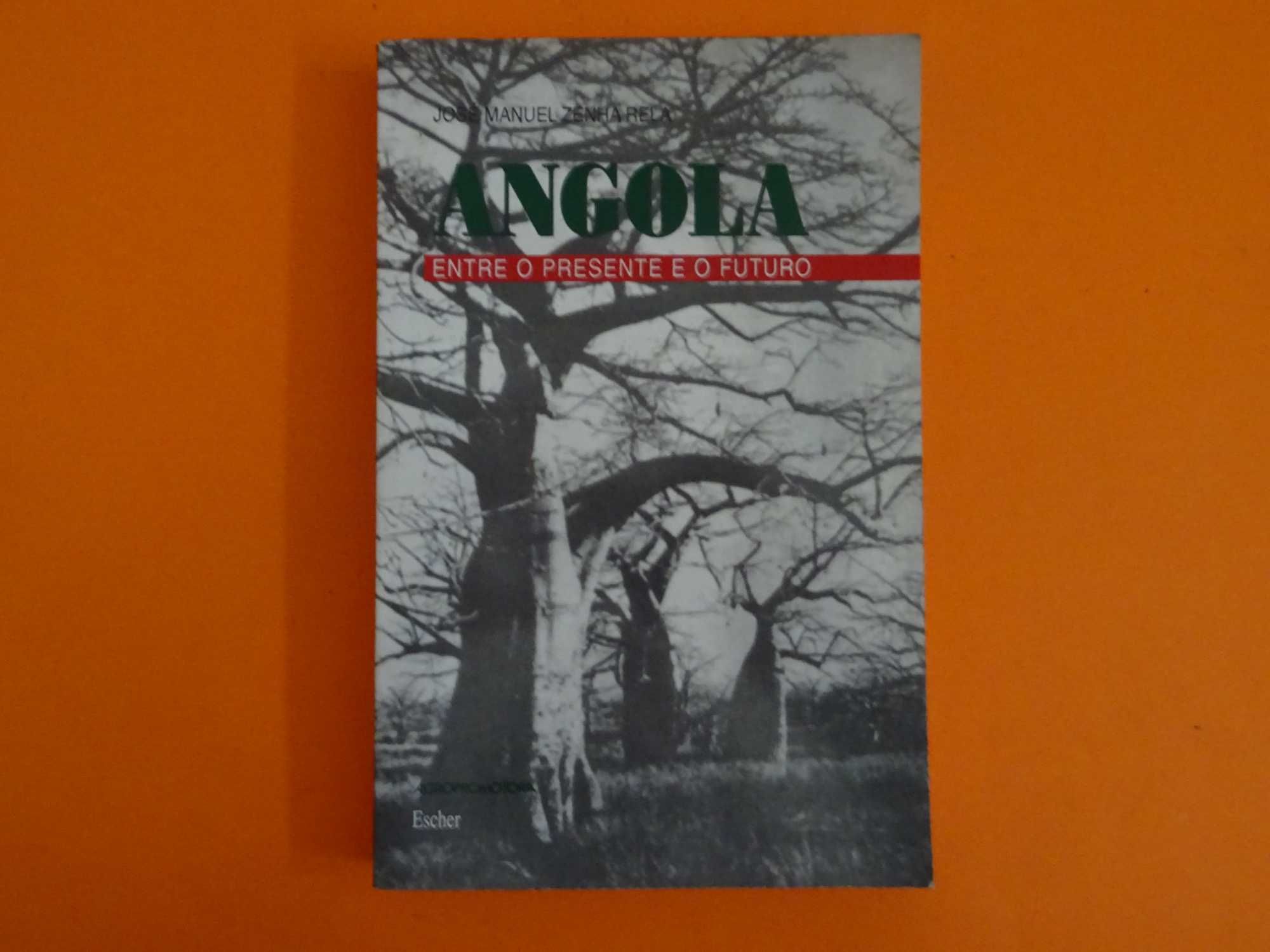 Angola – Entre o presente e o futuro - José Manuel Zenha Rela