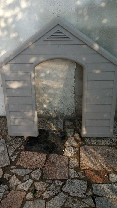 Casota cão Porte Grande
