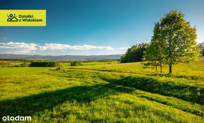 Pasiecznik - działka z pozwoleniem na budowę 10 min od Jeleniej Góry!