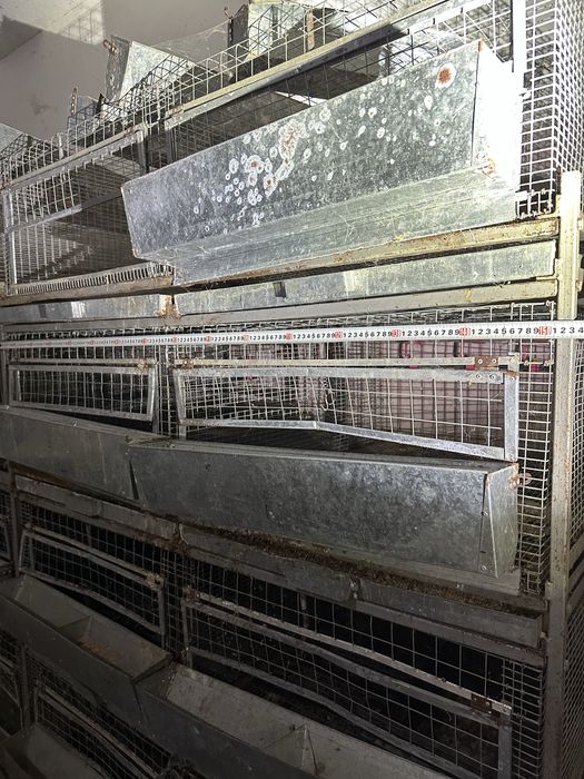 Клітки бройлер, кролики батарея клетки 20 шт