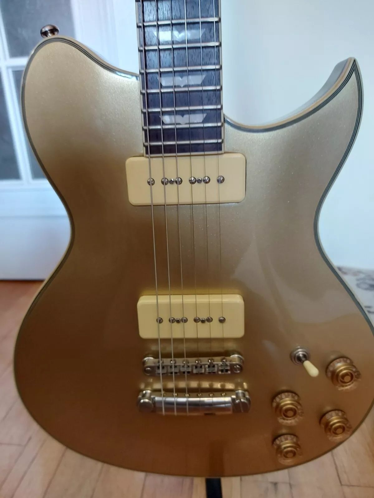 Washburn WI-66 PRO G