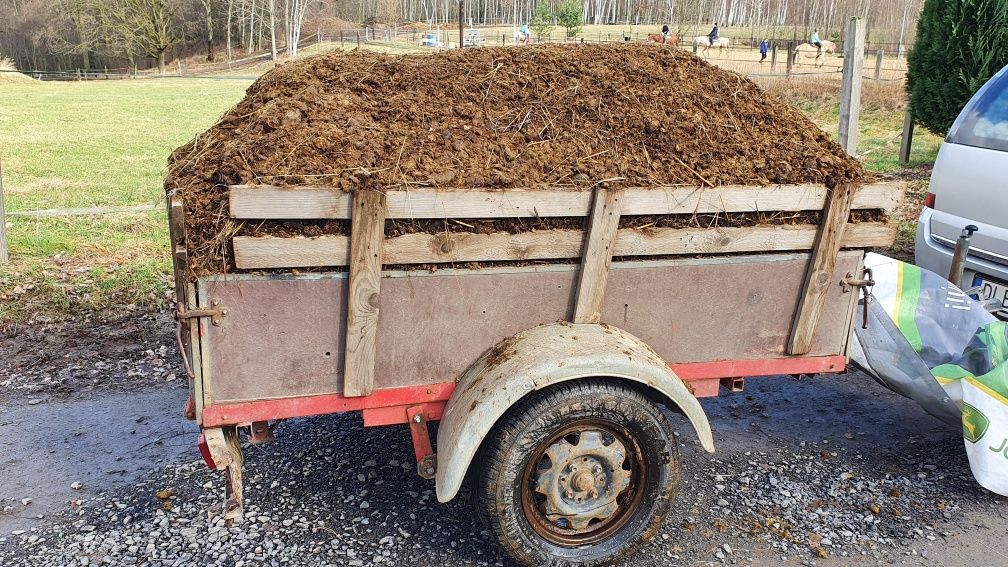 Czysty koński obornik świeży lub kilkuletni TRANSPORT