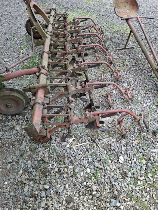 Wielorak planetka pielnik