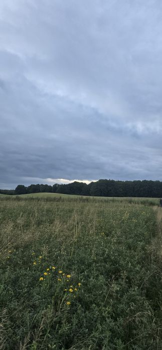 Działka, Borzytuchom, Kaszuby,koło Bytów,Pomorze