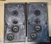 Bang& Olufsen Beovox P 45
