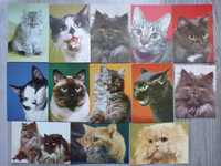 Koty, karty pocztowe KAW z kotami, pocztówki, 1978r., stan bdb, 12szt.