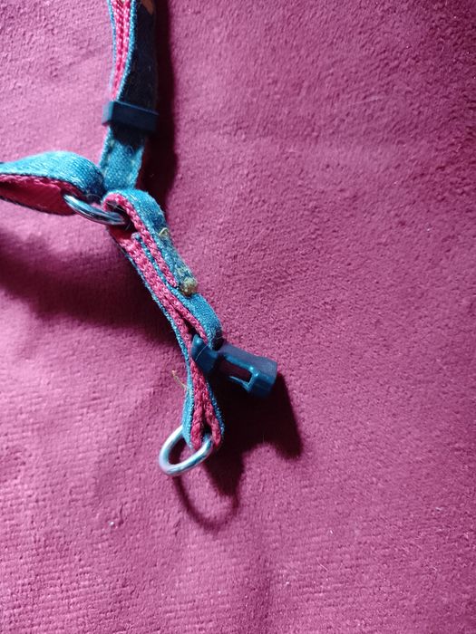 Повідець котику до 8 кг ваги тварини