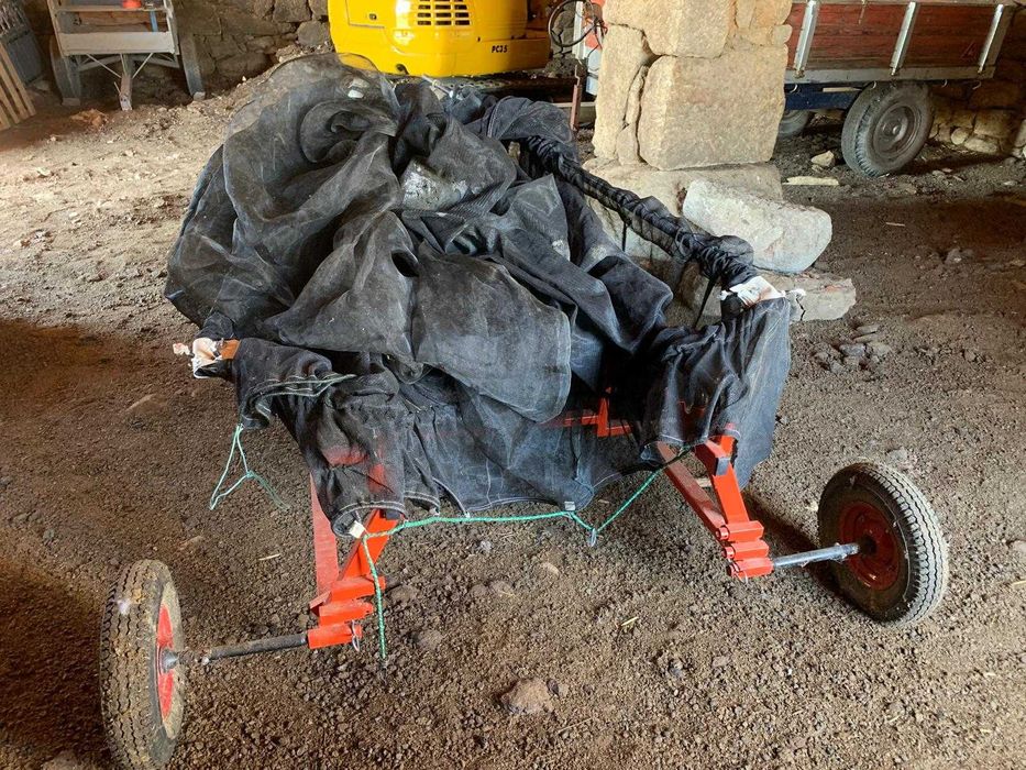 Rede professional para aceitona