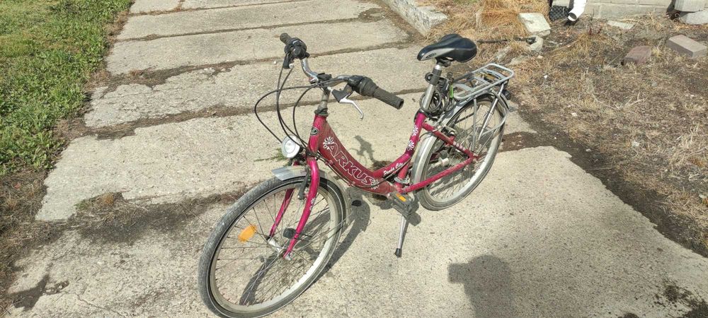 Rower Arkus Panda City (24)