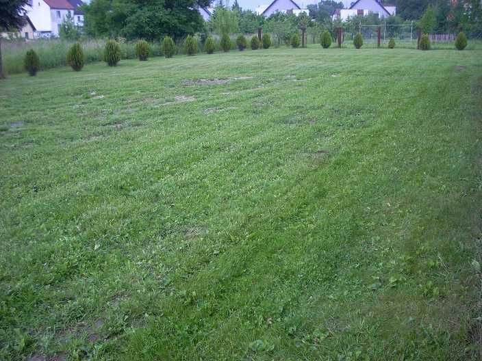 Działka/teren w ścisłym centrum Siechnic.